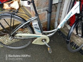raleigh dover deluxe electric bike